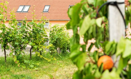 materassohotels-hotel-pavlov-ubytovani-palava-062025-1